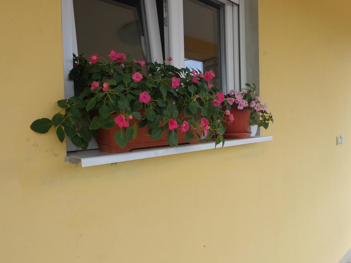 Guest House Ivana Tivat Extérieur photo